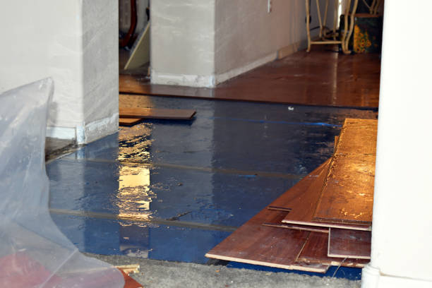 Professional Water Damage Repair technician working in Rimforest, CA
